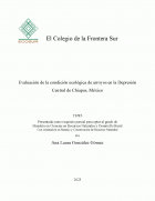 Imagen de cubierta local